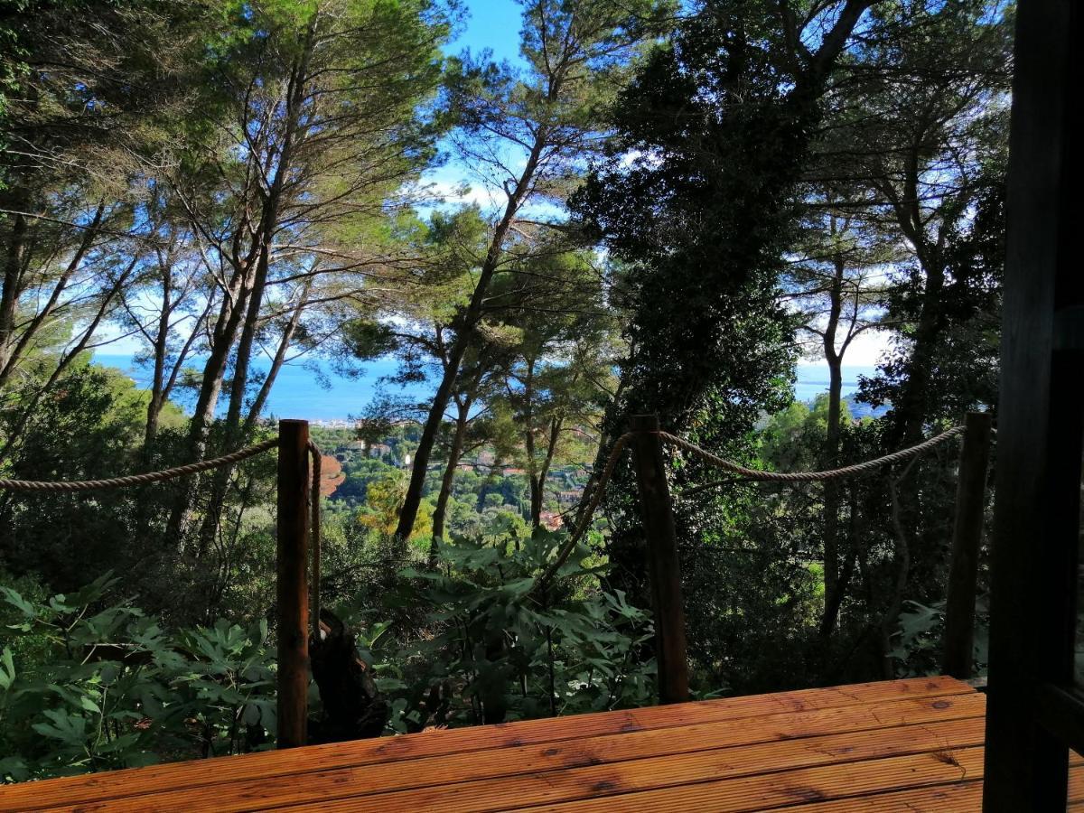 Cabane Azur Mountain Vallauris Buitenkant foto