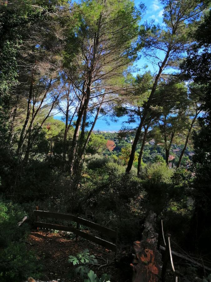 Cabane Azur Mountain Vallauris Buitenkant foto